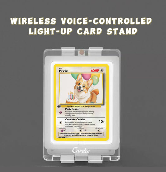 Wireless Voice-Activated LED Card Display Stand - Magnetic Closure