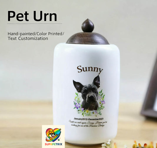 hand-painted-custom-pet-memorial-urn-suprpetrix_9